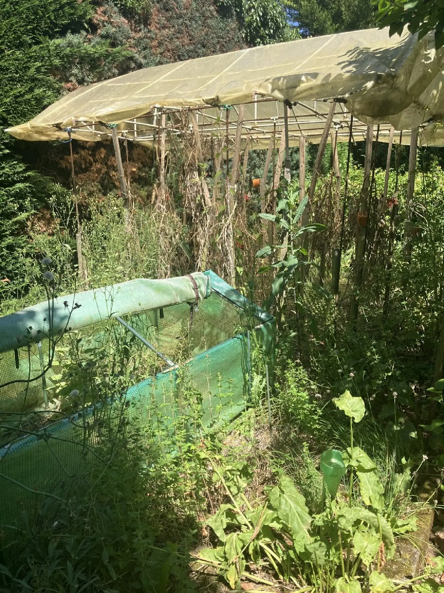  en venta casa Saint-Laurent-d'Agny Rhône 2