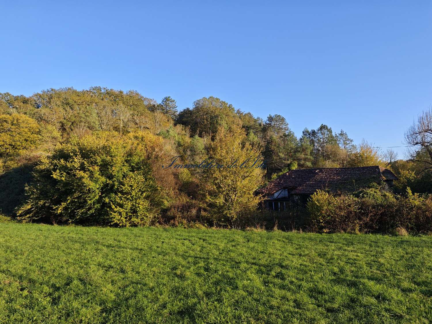  for sale house Saint-Laurent-sur-Manoire Dordogne 4