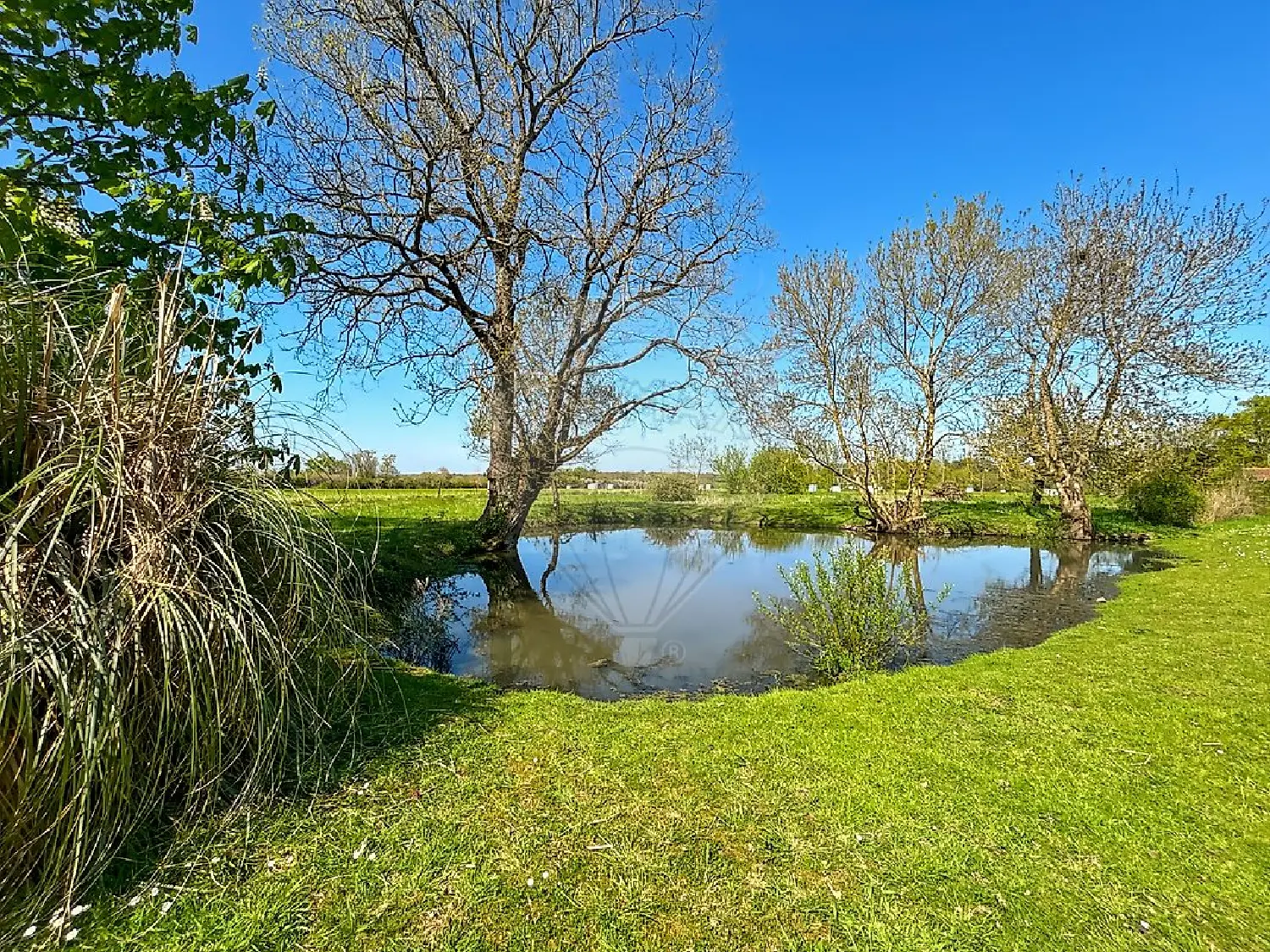  en venta casa Saint-Laurent-des-Autels Maine-et-Loire 5