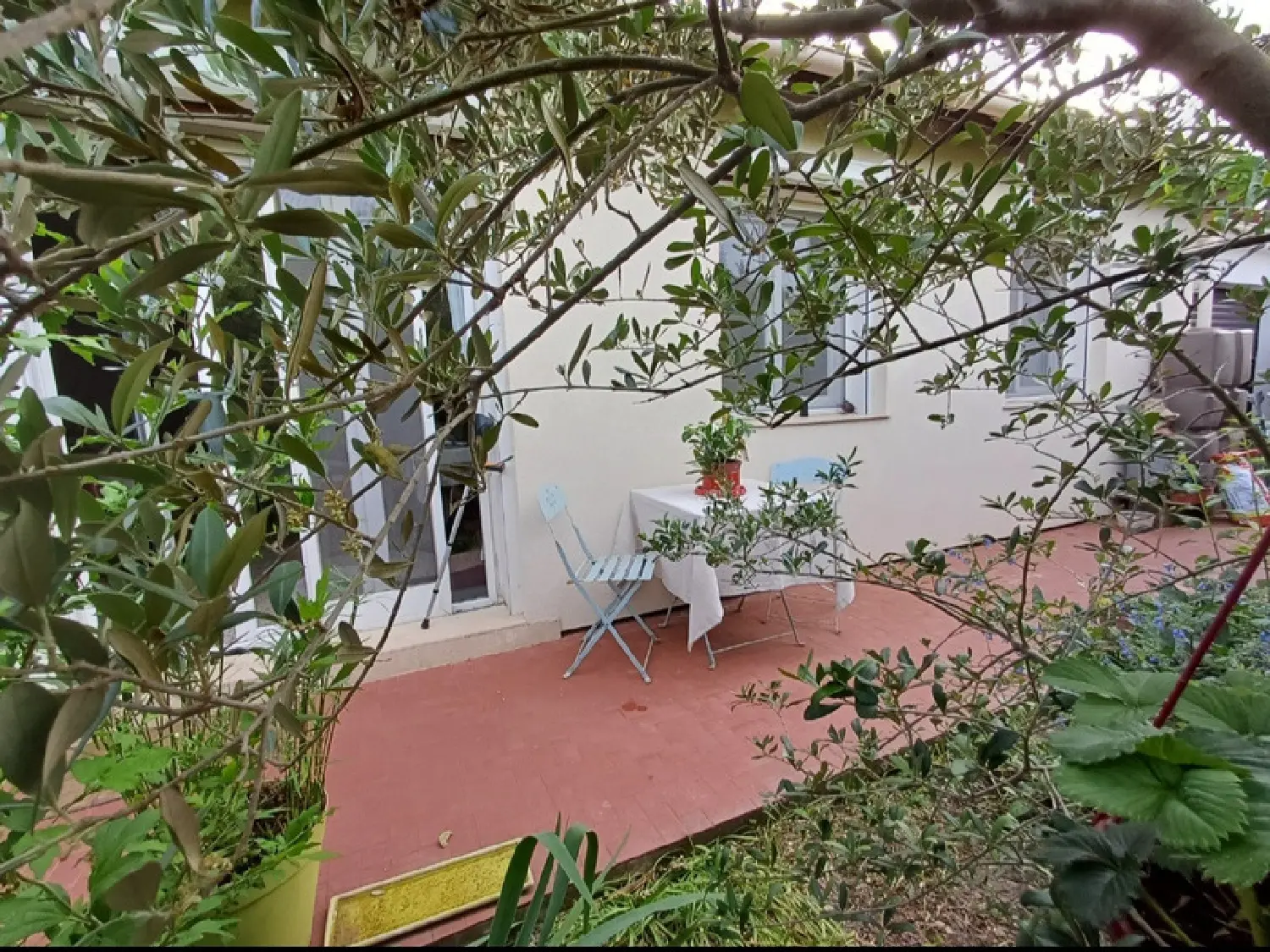  à vendre maison Saint-Martin-de-Crau Bouches-du-Rhône 3