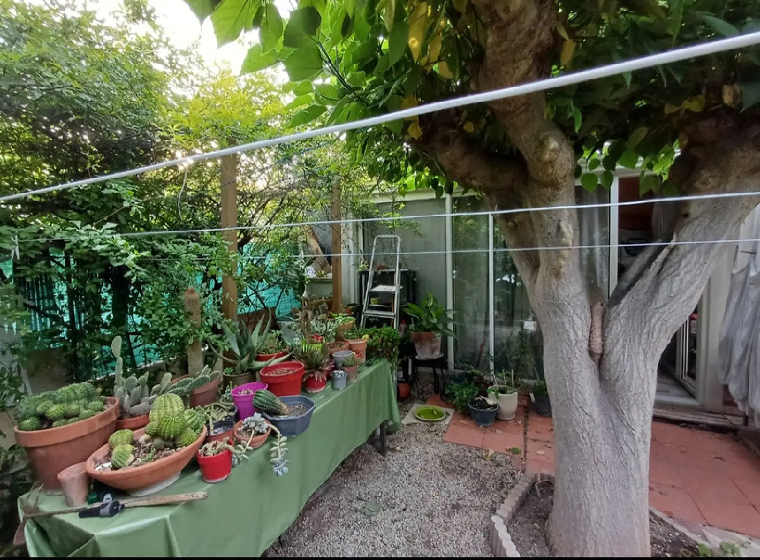  à vendre maison Saint-Martin-de-Crau Bouches-du-Rhône 4