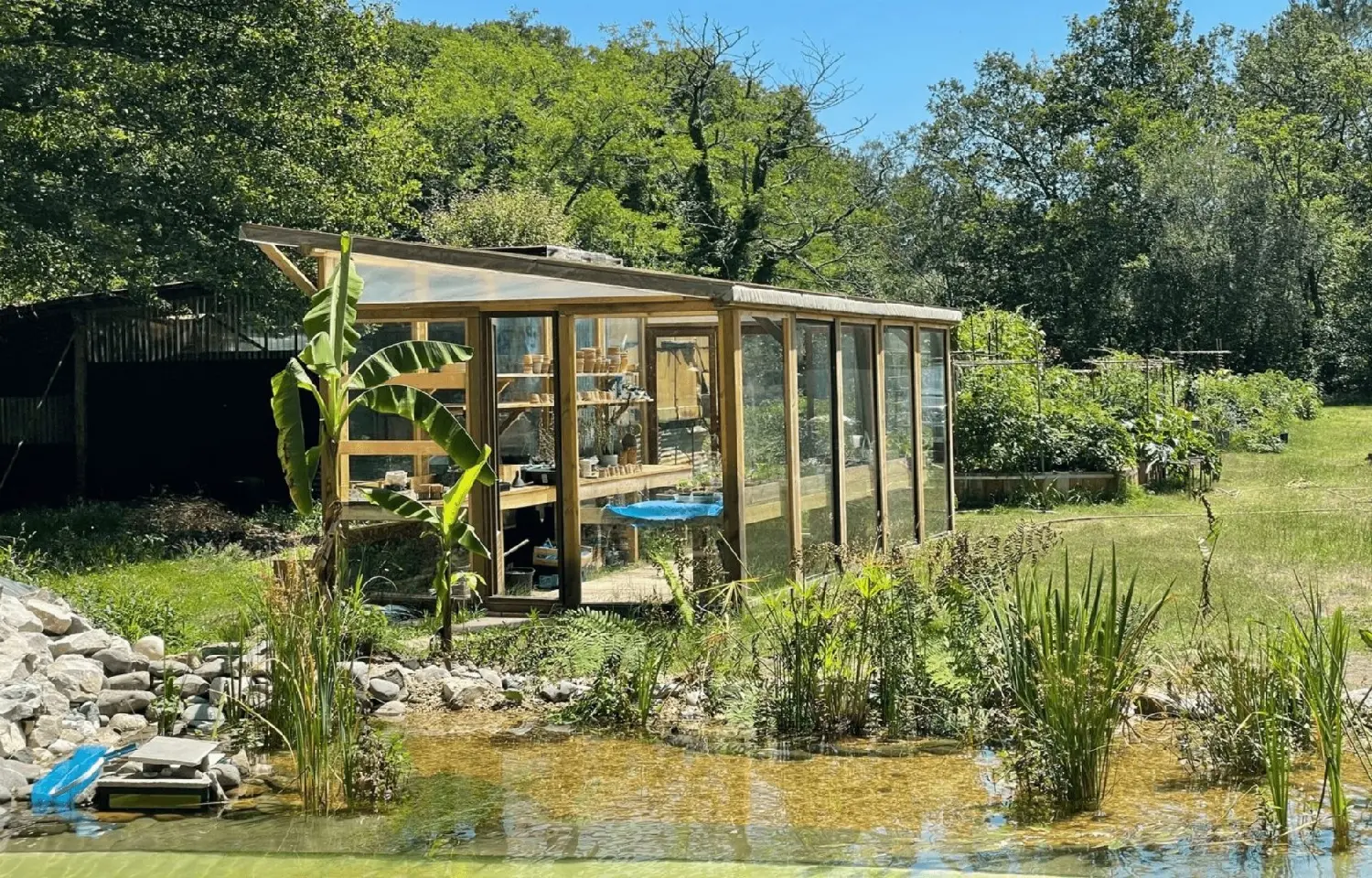  kaufen Haus Saint-Michel-Escalus Landes 6