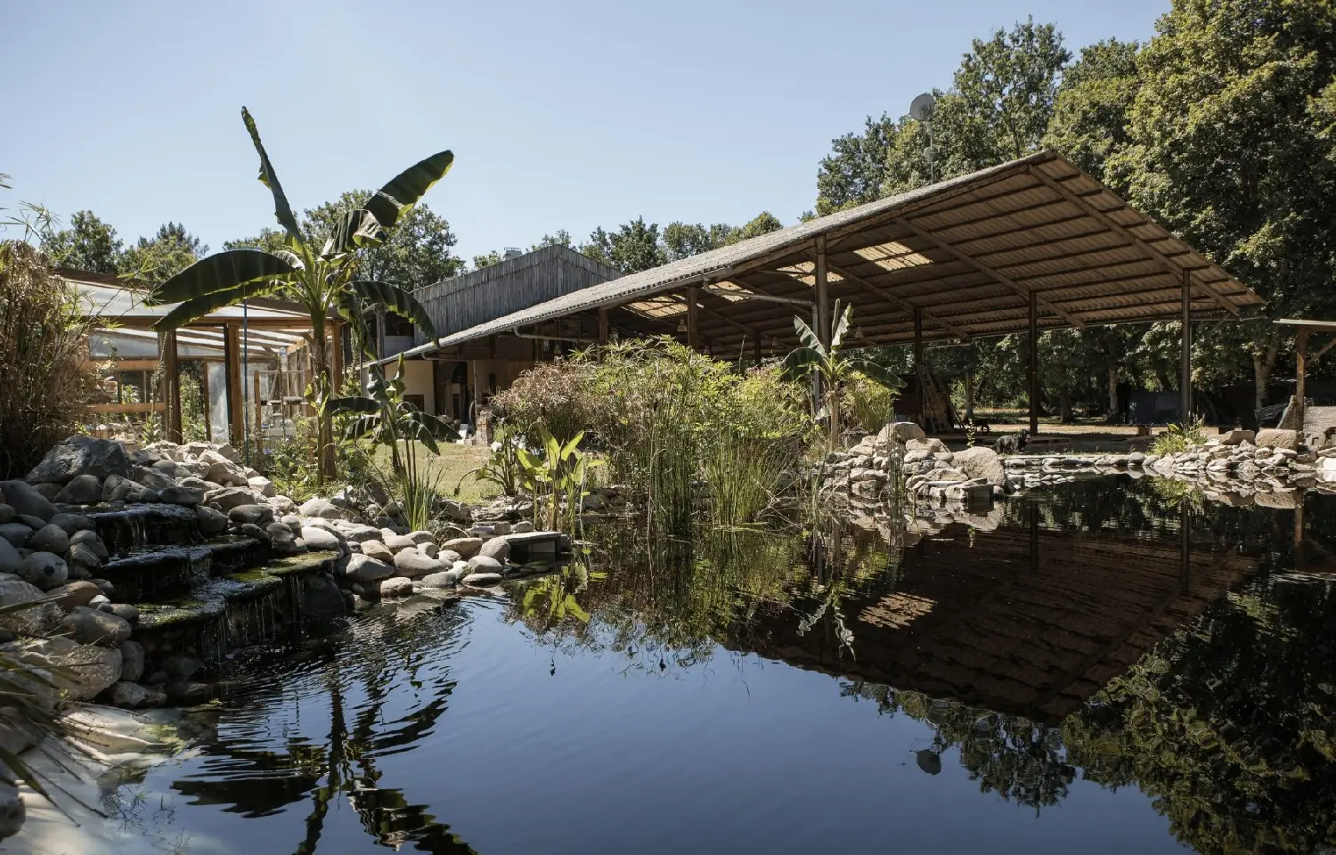  kaufen Haus Saint-Michel-Escalus Landes 8
