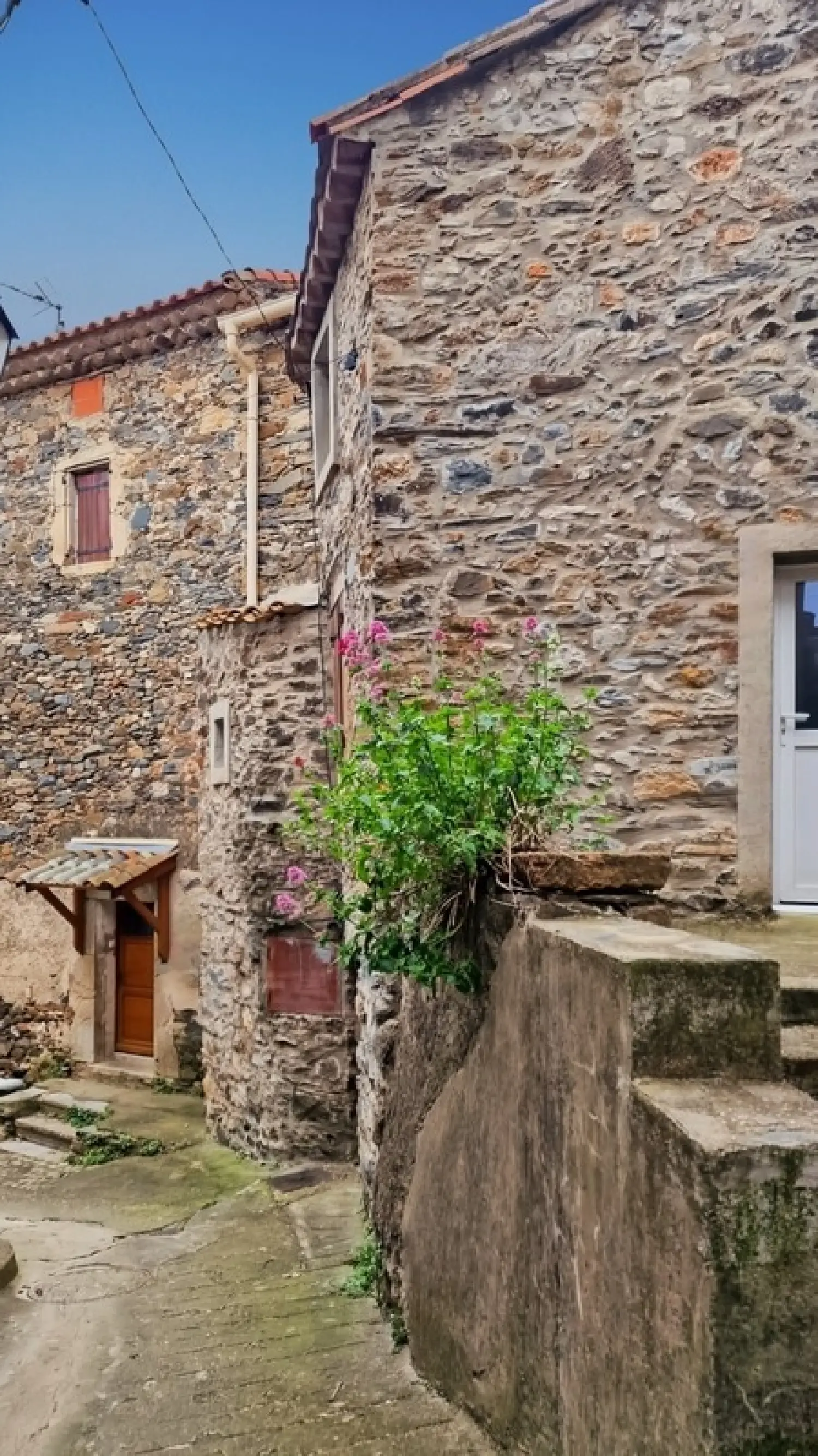  te koop huis Saint-Nazaire-de-Ladarez Hérault 1