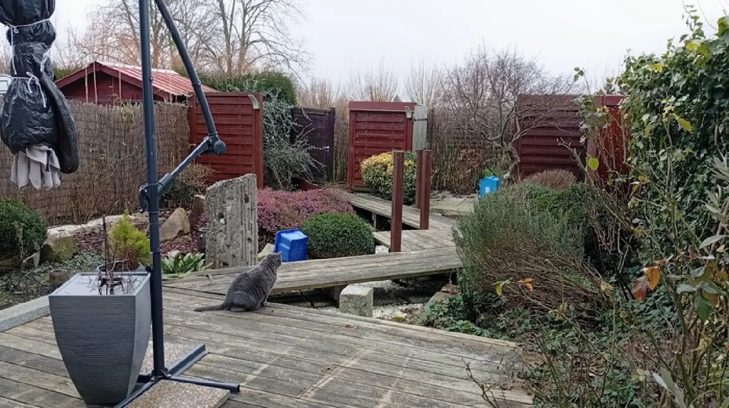  te koop huis Saint-Omer Pas-de-Calais 8
