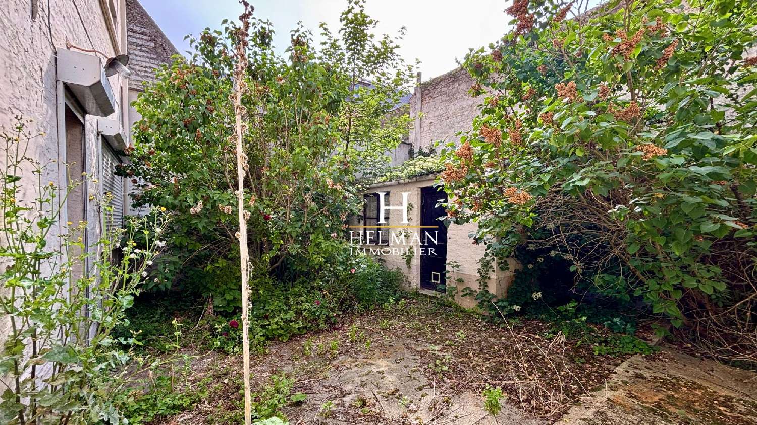  en venta casa Saint-Omer Pas-de-Calais 3