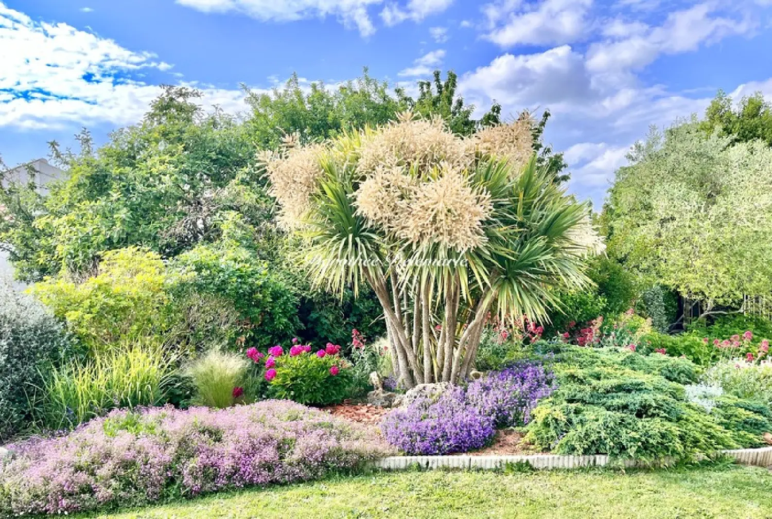  en venta casa Saint-ouen-d'Aunis Charente-Maritime 3