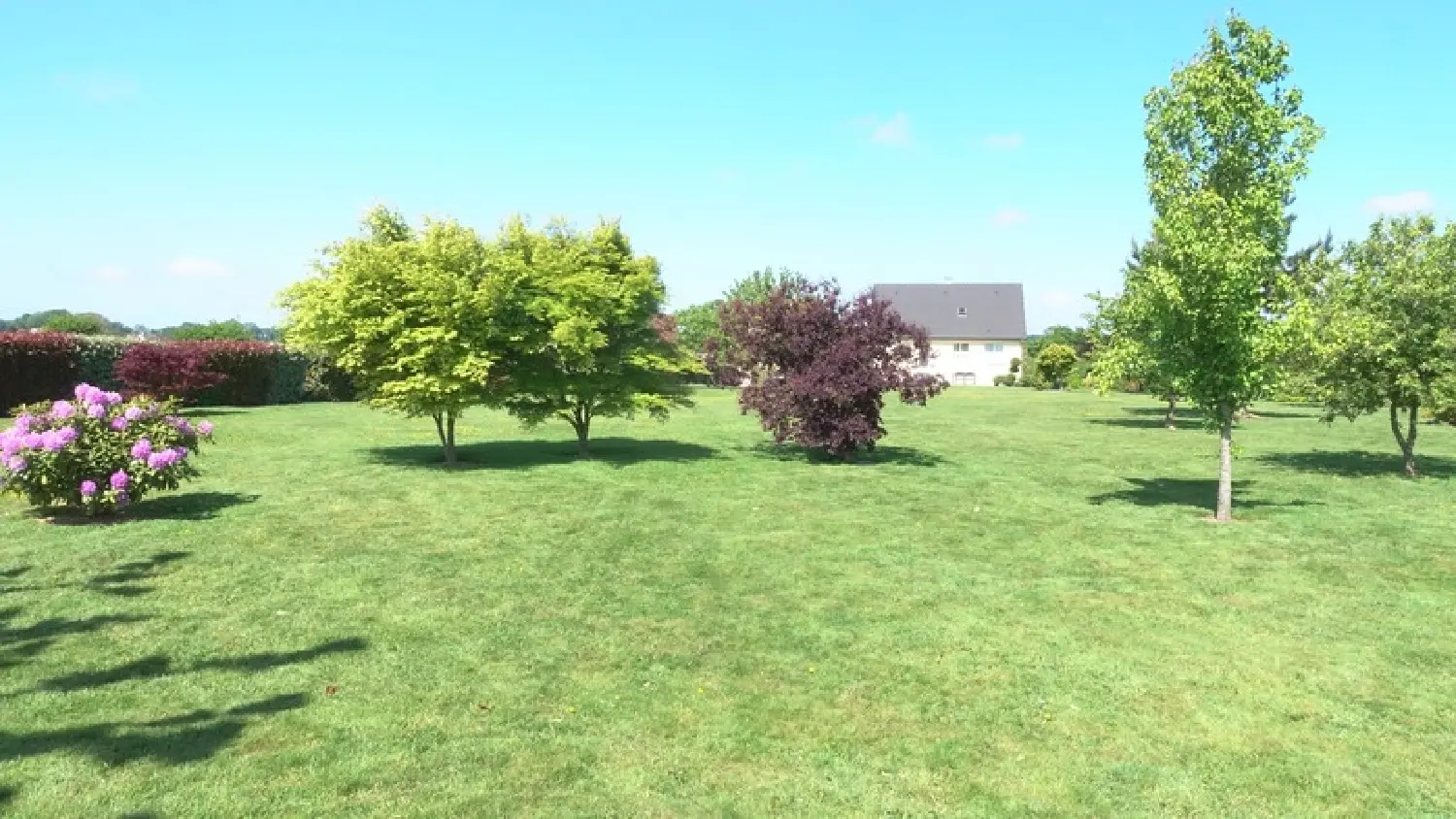  à vendre maison Saint-Pierre-Lavis Seine-Maritime 2