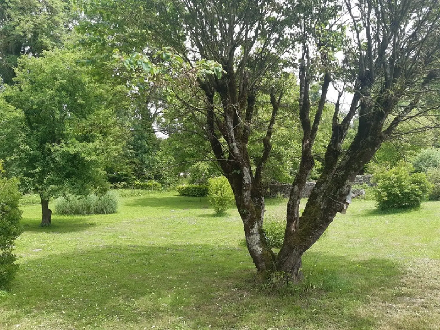  te koop huis Saint-Saturnin Charente 8