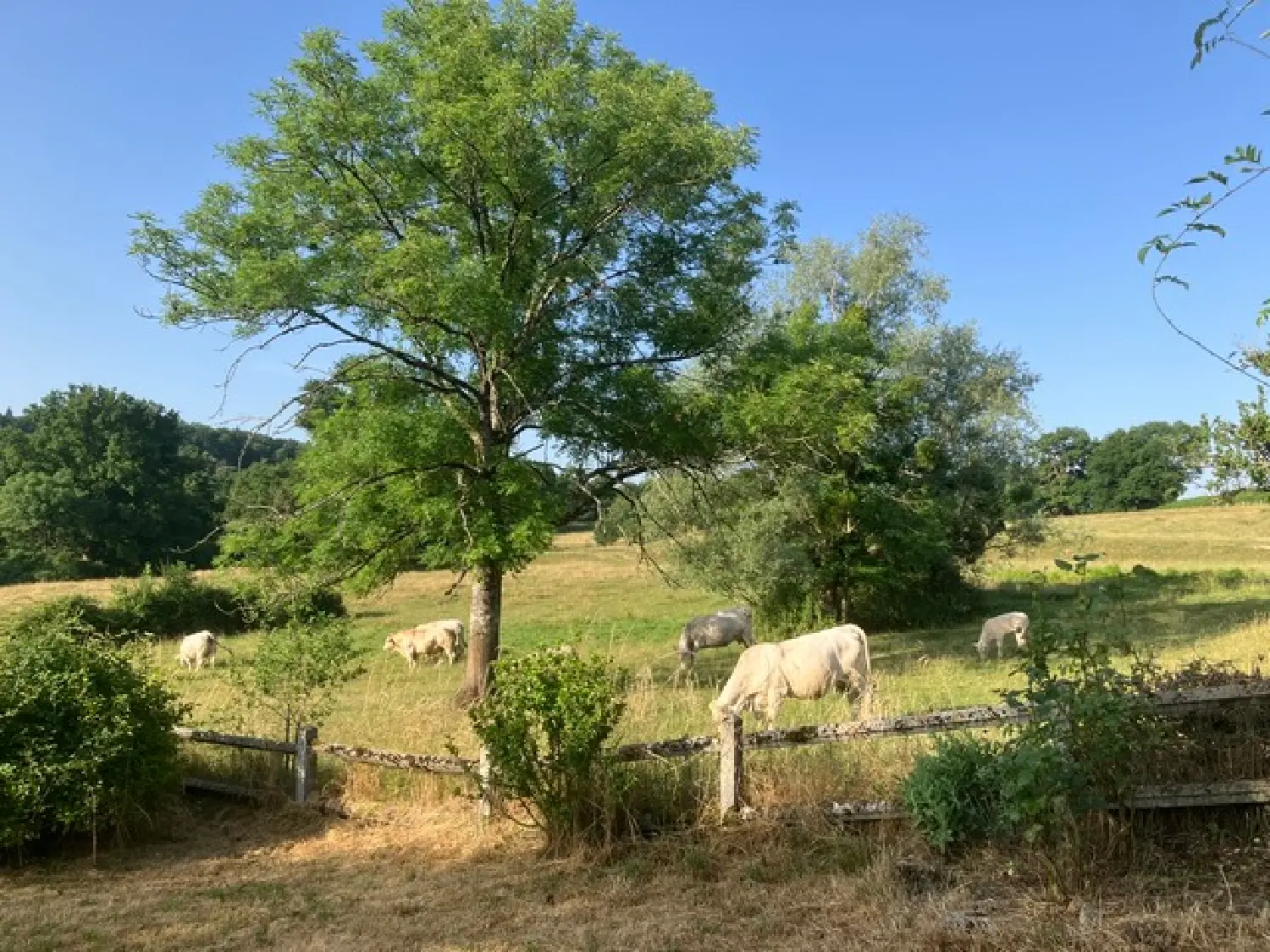  en venta casa Saint-Saulge Nièvre 5