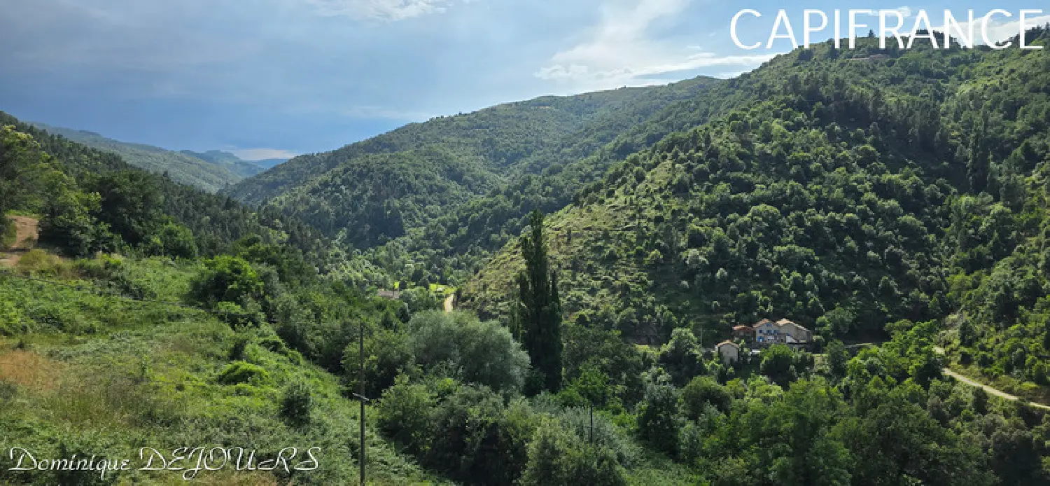  à vendre maison Saint-Sauveur-de-Montagut Ardèche 2