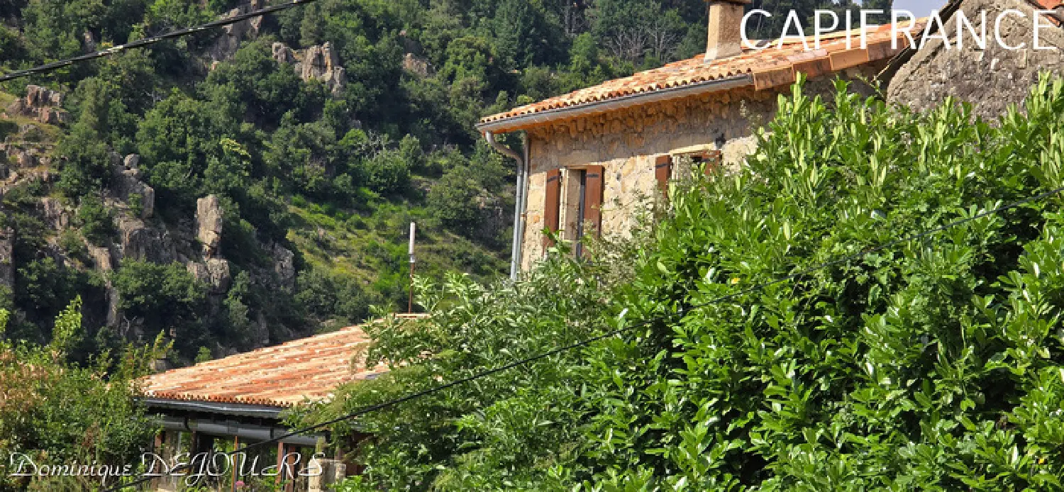  à vendre maison Saint-Sauveur-de-Montagut Ardèche 3