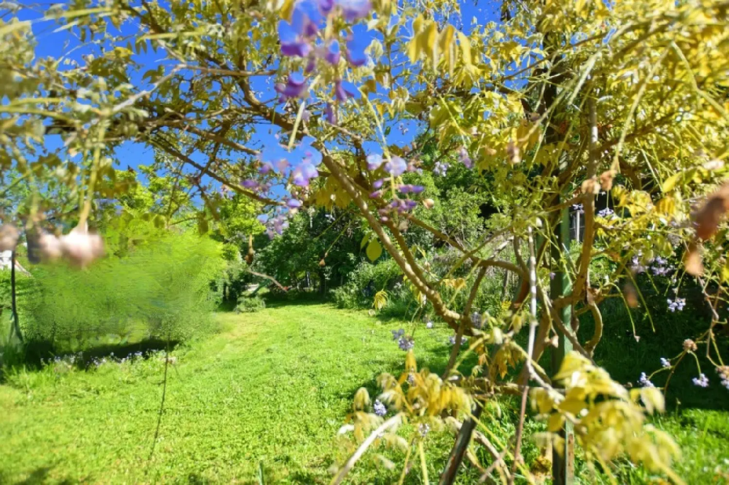  en venta casa Saint-Sernin-du-Plain Saône-et-Loire 7