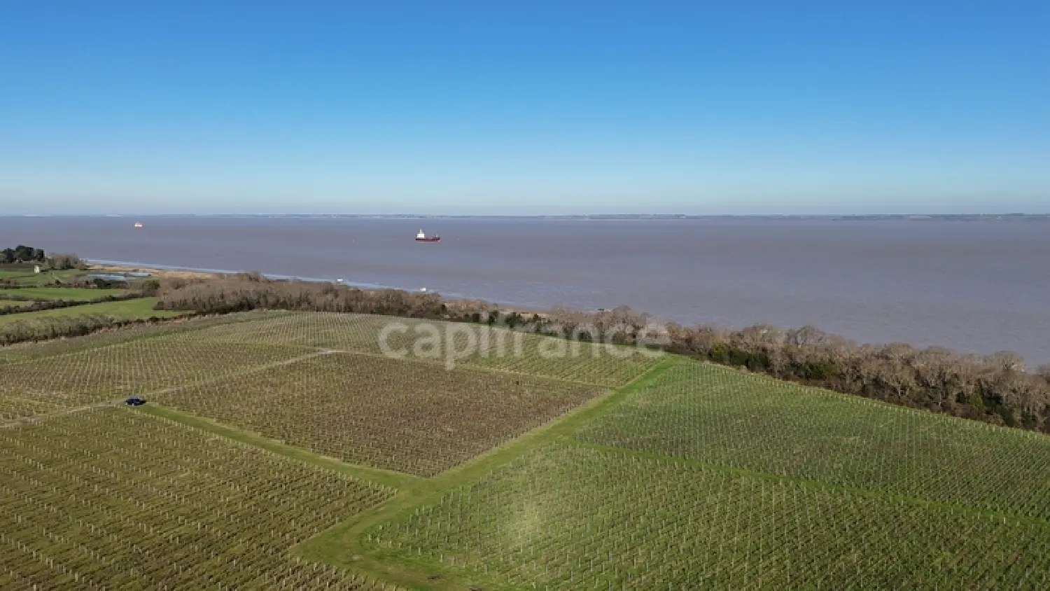 à vendre maison Saint-Seurin-de-Cadourne Gironde 1
