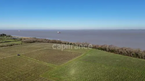 Saint-Seurin-de-Cadourne Gironde maison foto 7099589