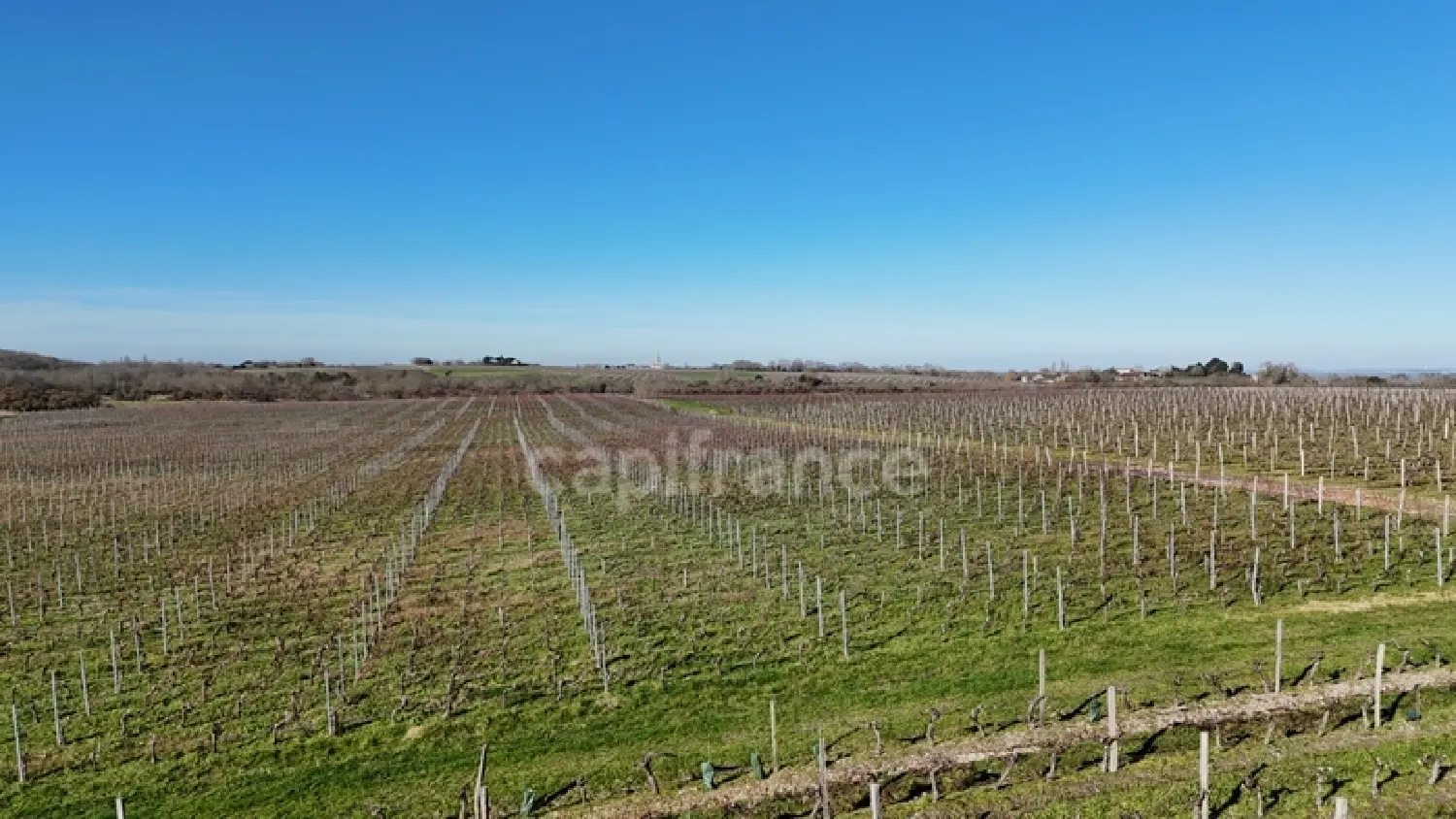  à vendre maison Saint-Seurin-de-Cadourne Gironde 2