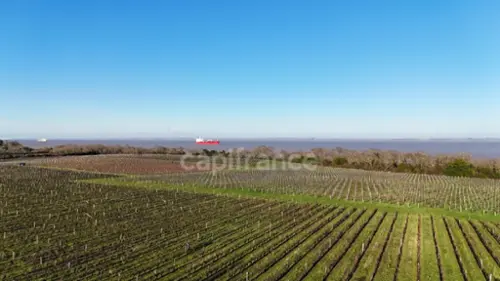 Saint-Seurin-de-Cadourne Gironde maison foto 7099590