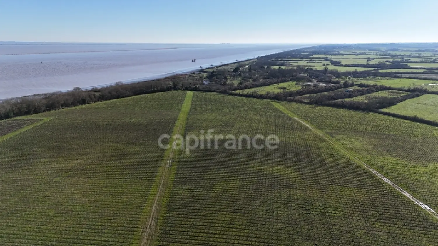  à vendre maison Saint-Seurin-de-Cadourne Gironde 2