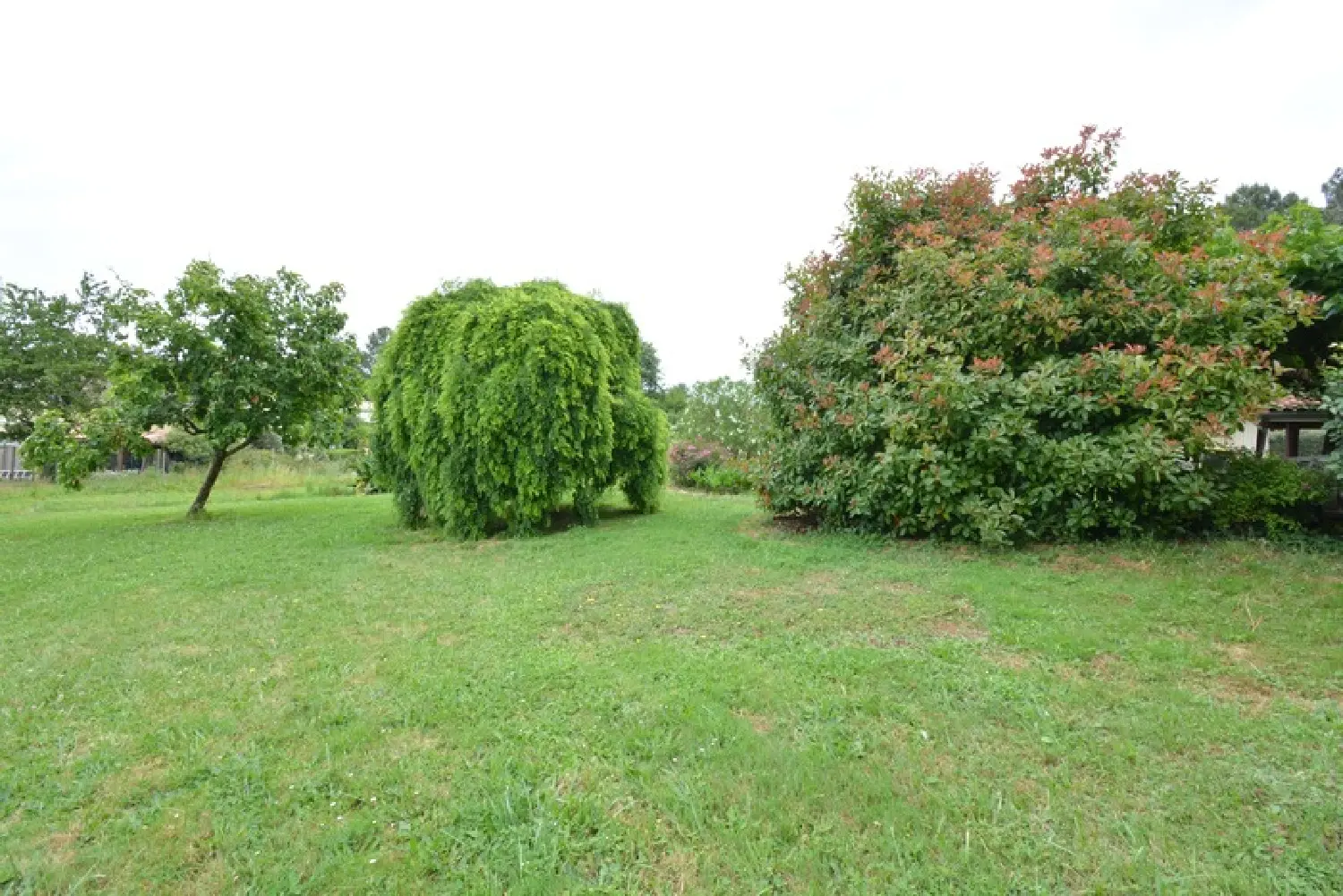  à vendre maison Saint-Seurin-sur-l'Isle Gironde 5