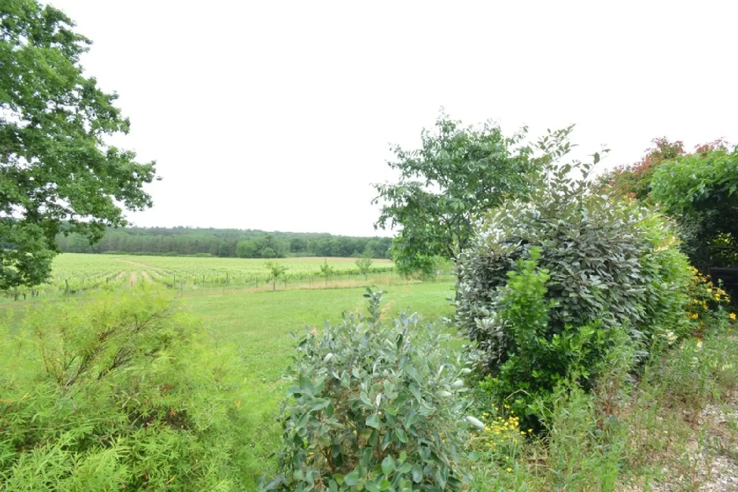  à vendre maison Saint-Seurin-sur-l'Isle Gironde 8