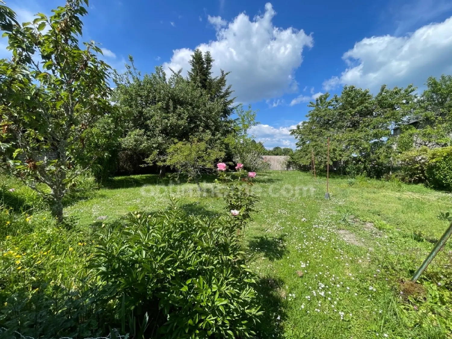  en venta casa Saint-Sulpice-les-Feuilles Haute-Vienne 4