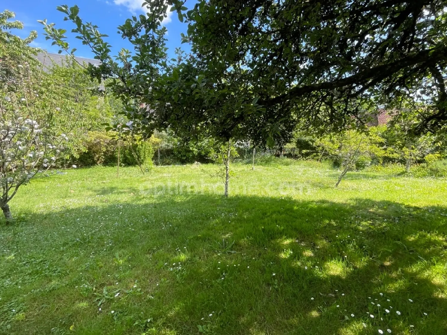  en venta casa Saint-Sulpice-les-Feuilles Haute-Vienne 7