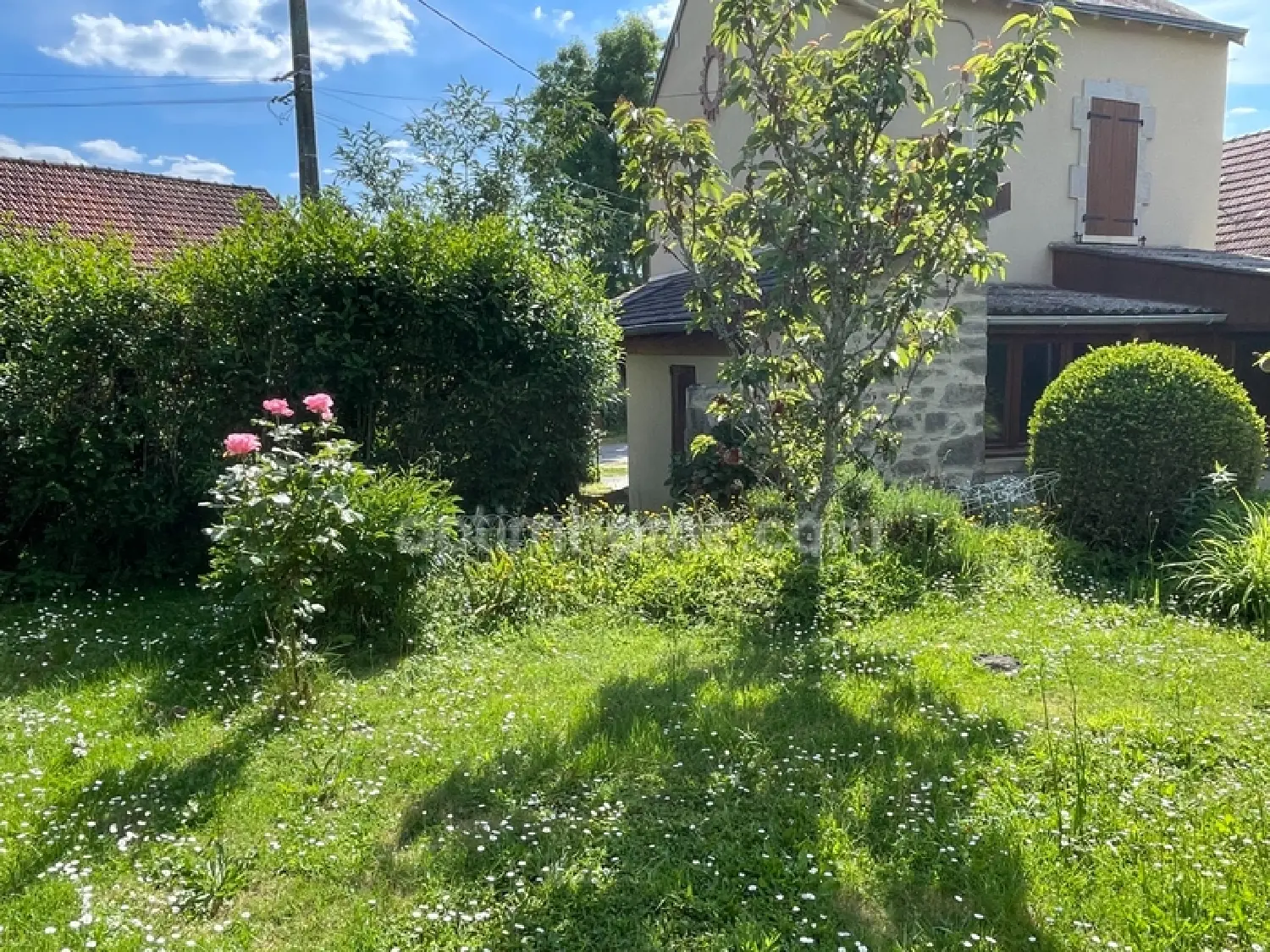  en venta casa Saint-Sulpice-les-Feuilles Haute-Vienne 8