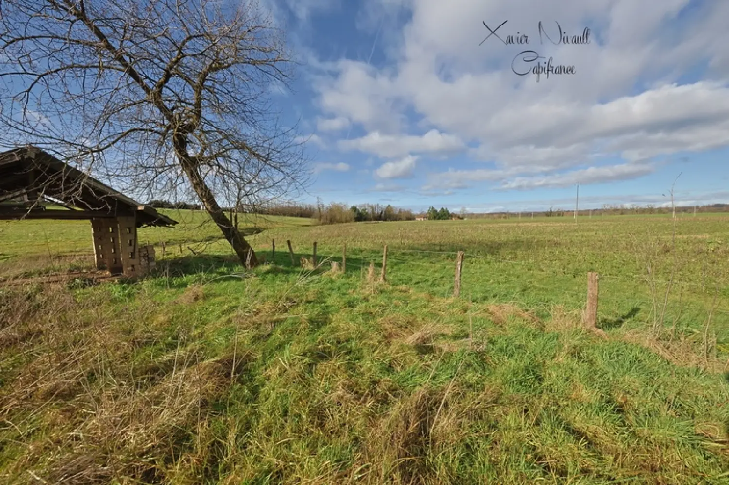  for sale house Saint-Trivier-de-Courtes Ain 3