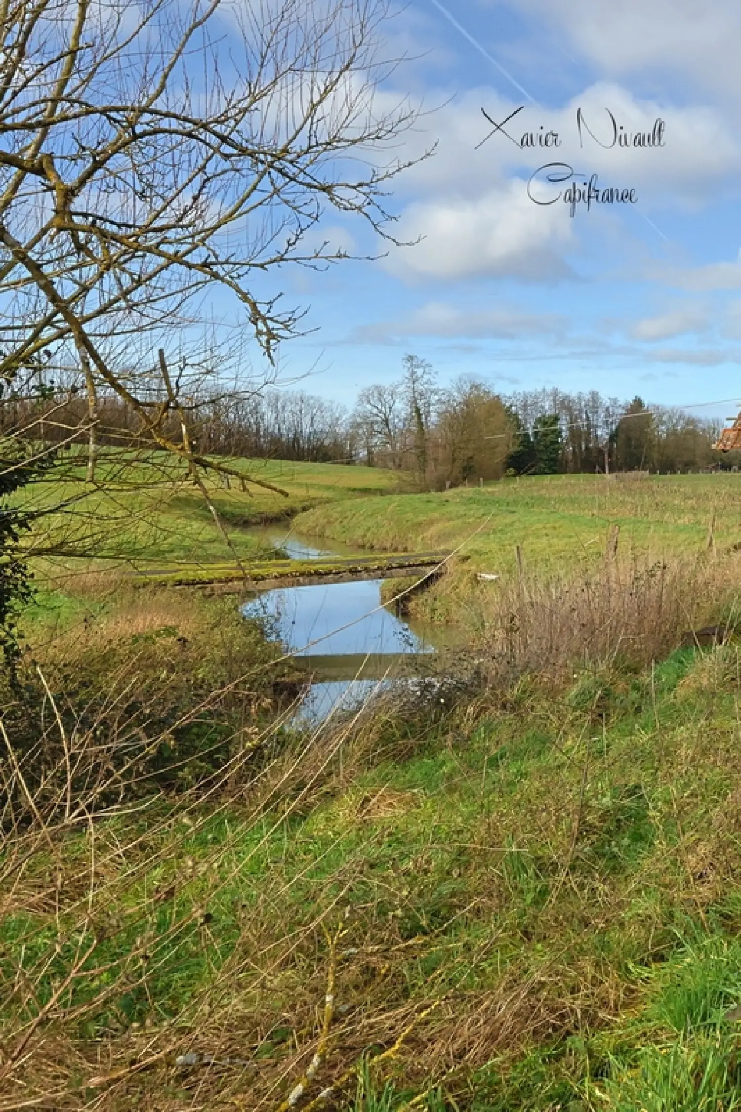  for sale house Saint-Trivier-de-Courtes Ain 8