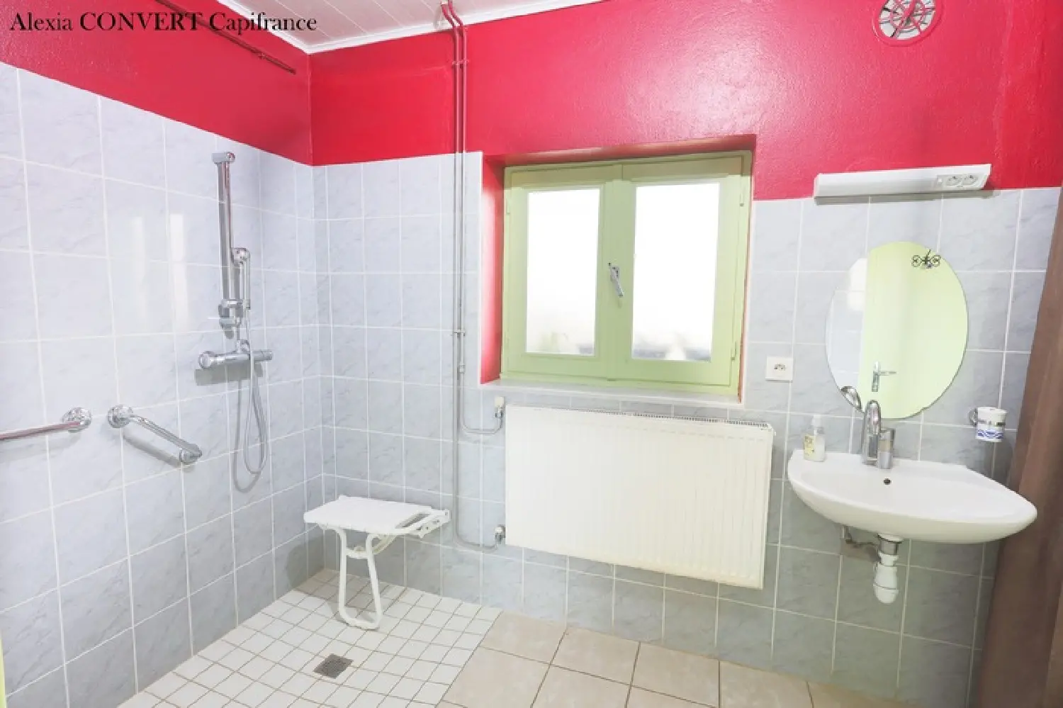  te koop huis Saint-Trivier-de-Courtes Ain 8