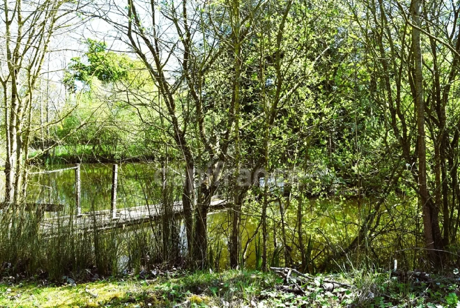  en venta casa Saint-Urbain Vendée 3