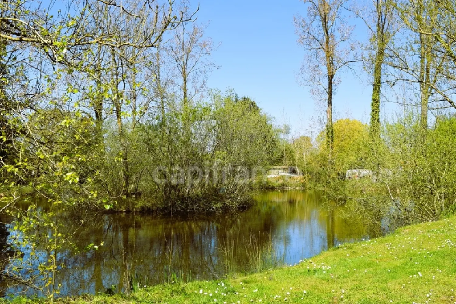  en venta casa Saint-Urbain Vendée 4