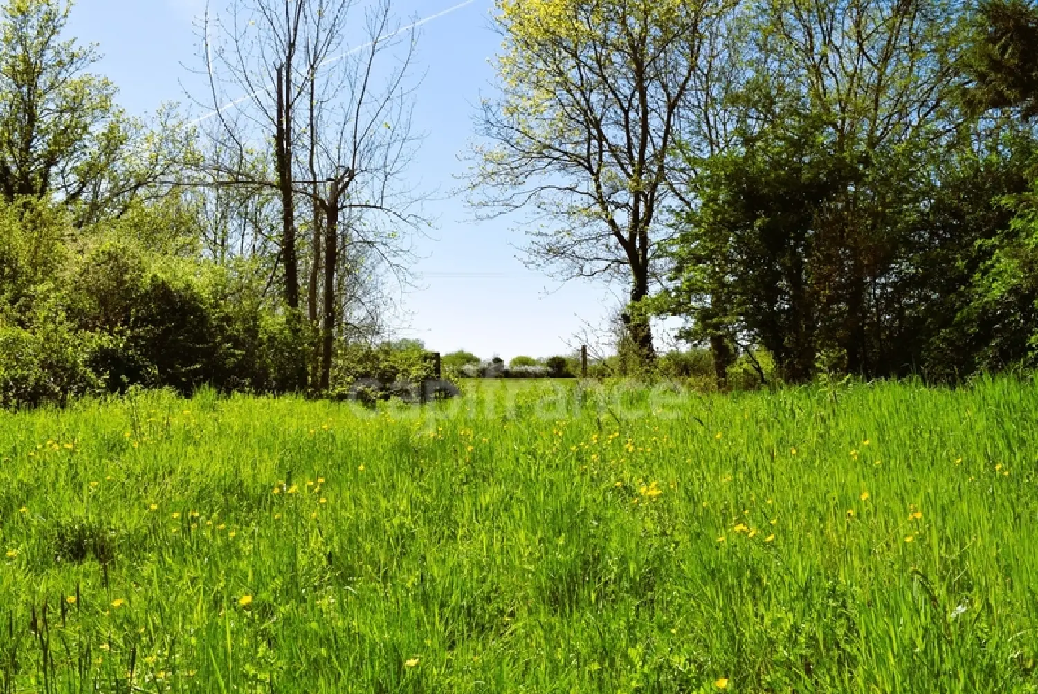  en venta casa Saint-Urbain Vendée 5