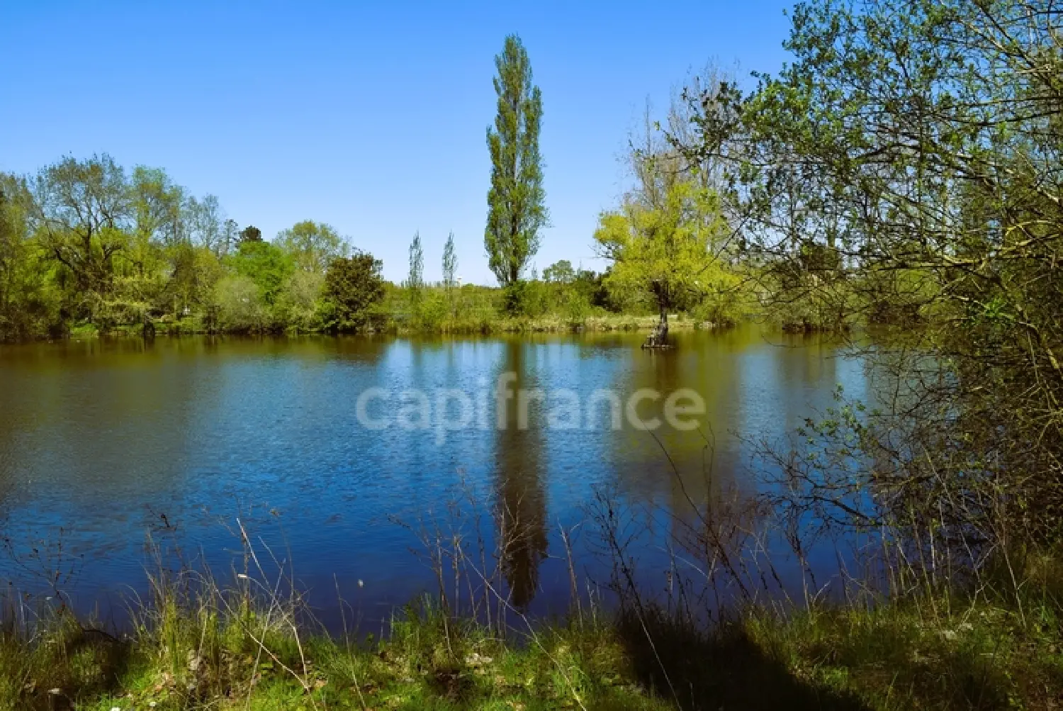  en venta casa Saint-Urbain Vendée 7