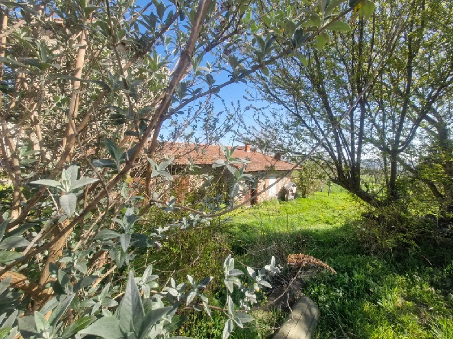 for sale house Saint-Victor-sur-Loire Loire 2