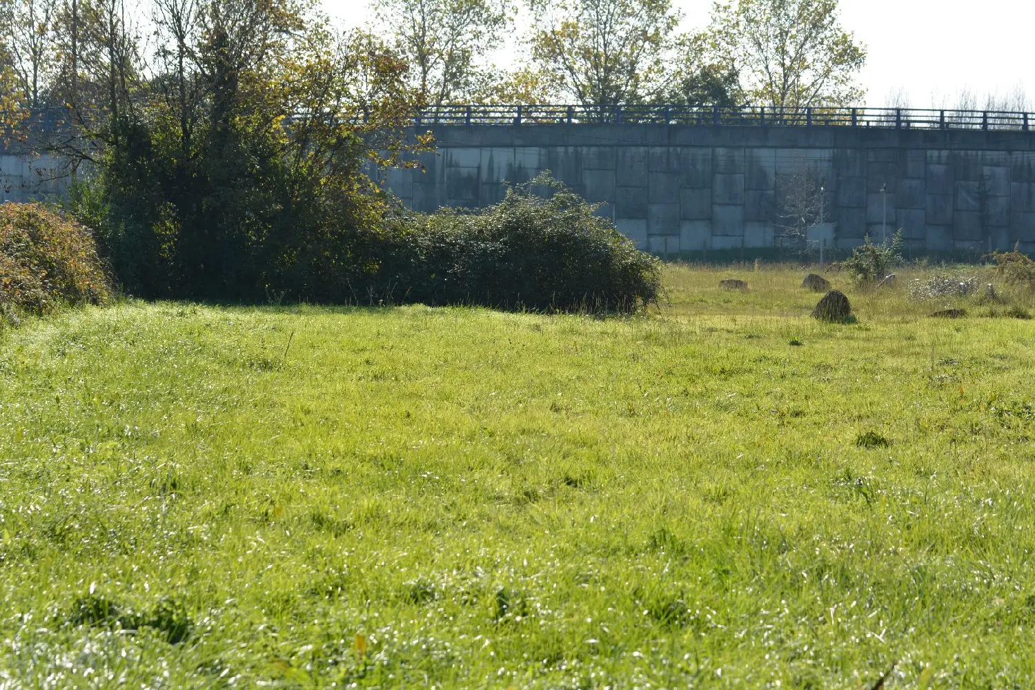 en venta casa Sainte-Foy-la-Grande Gironde 2