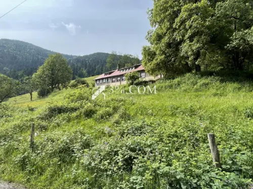 Sainte-Marie-aux-Mines Haut-Rhin maison foto 7090504