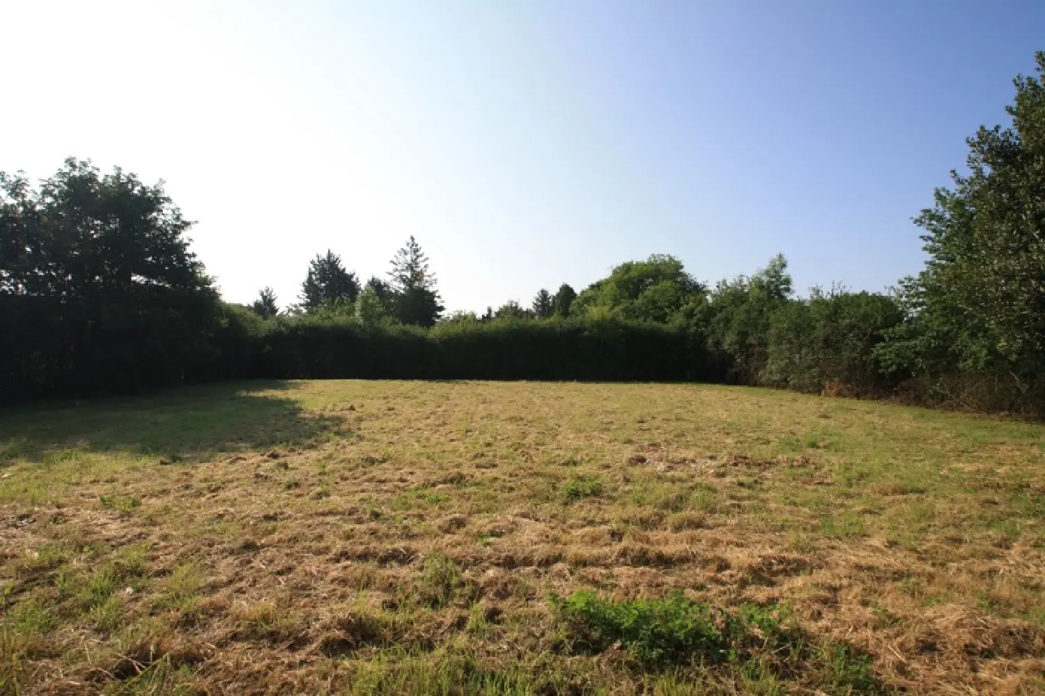  à vendre maison Saligny-sur-Roudon Allier 5