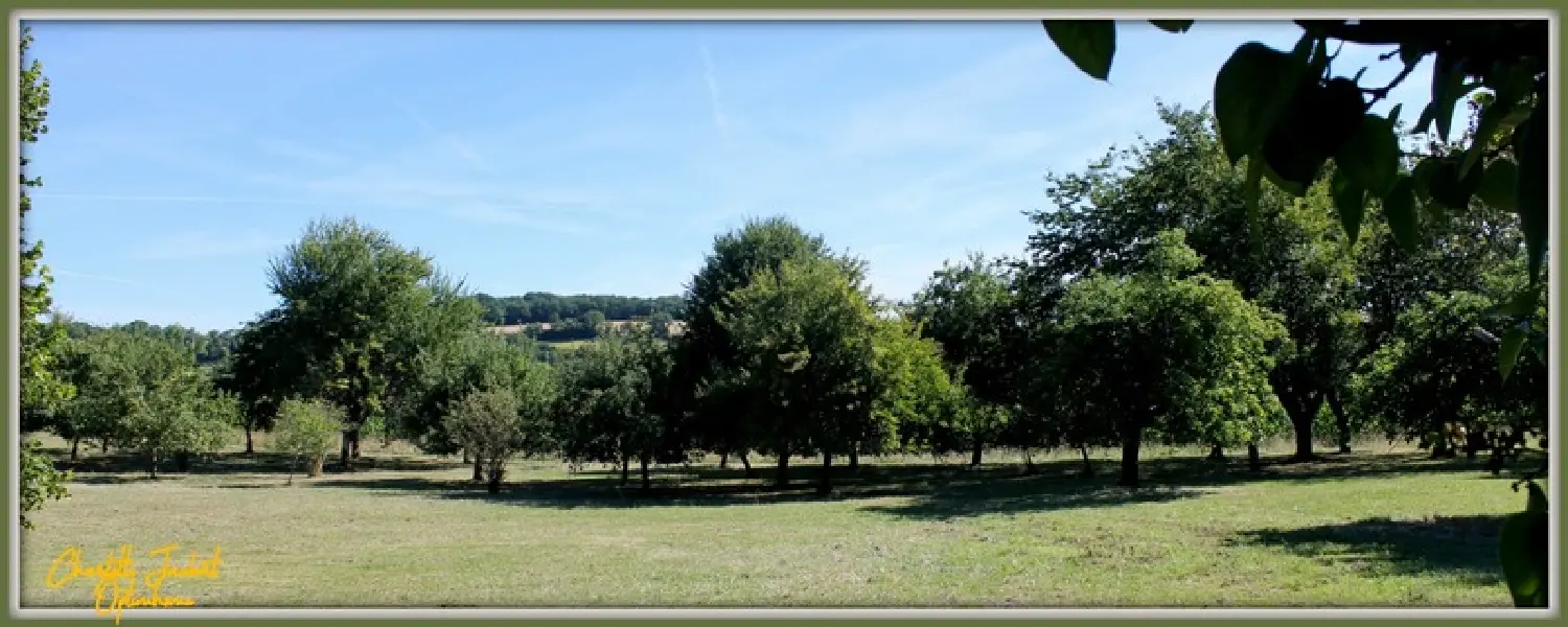  for sale house Salles-Lavalette Charente 7