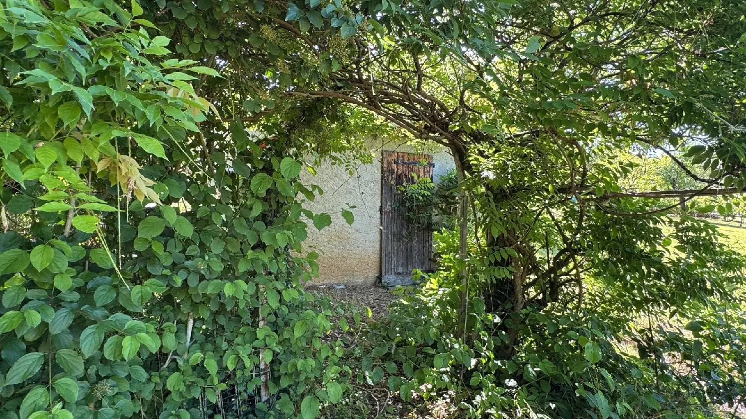  en venta casa Salvagnac-Cajarc Aveyron 6