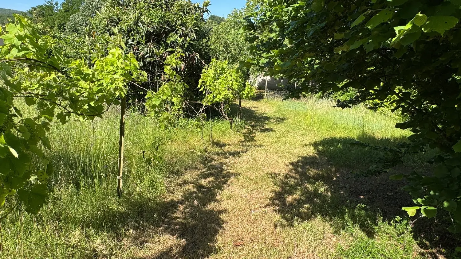  en venta casa Salvagnac-Cajarc Aveyron 7