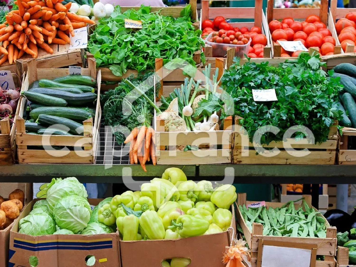  te koop huis Sarzeau Morbihan 2