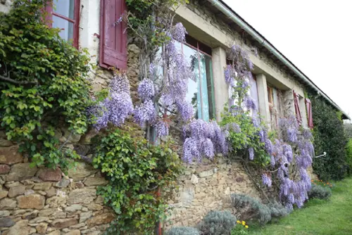 Sauveterre-de-Rouergue Aveyron maison foto 7094472