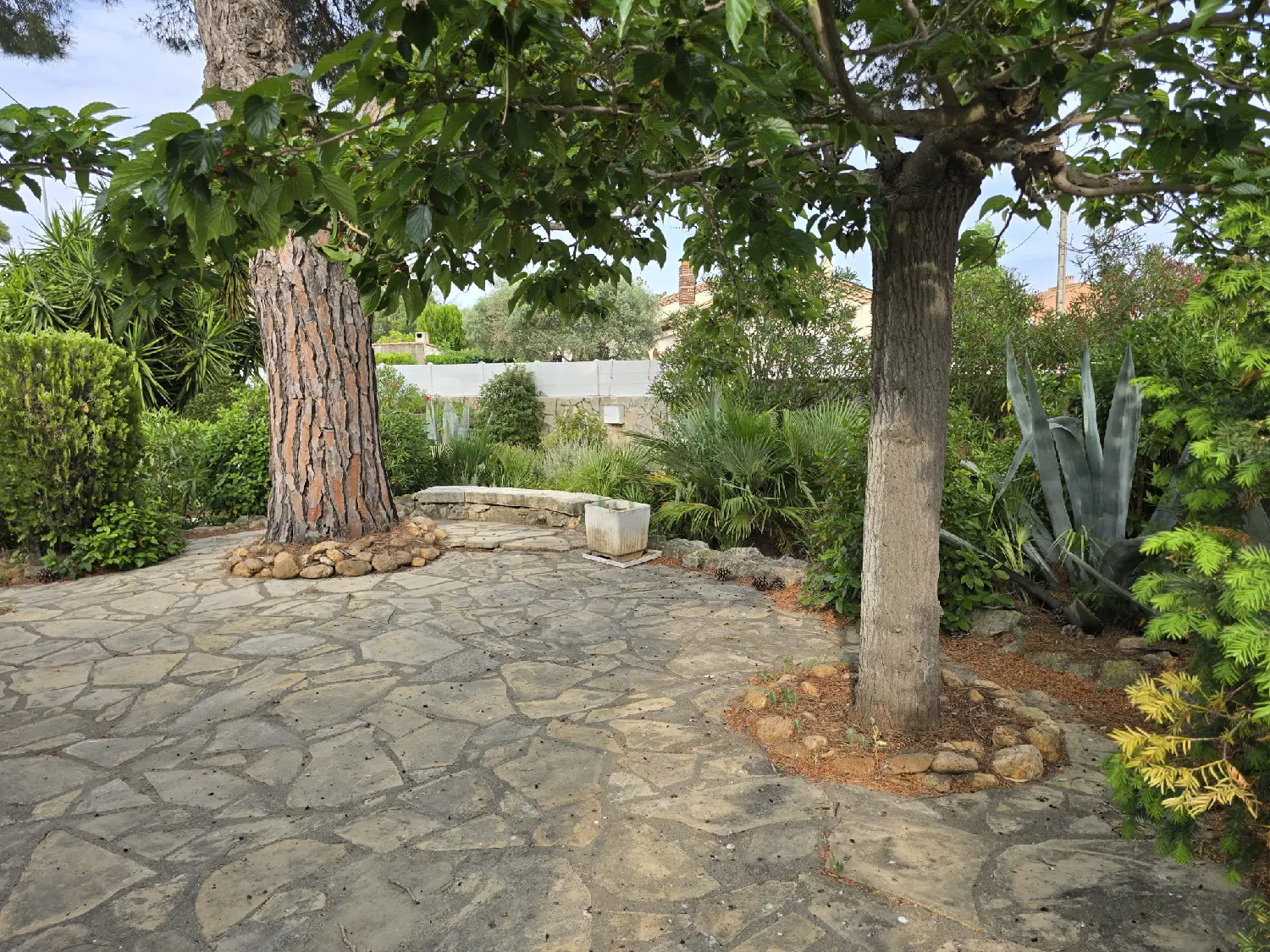  en venta casa Sauvian Hérault 7