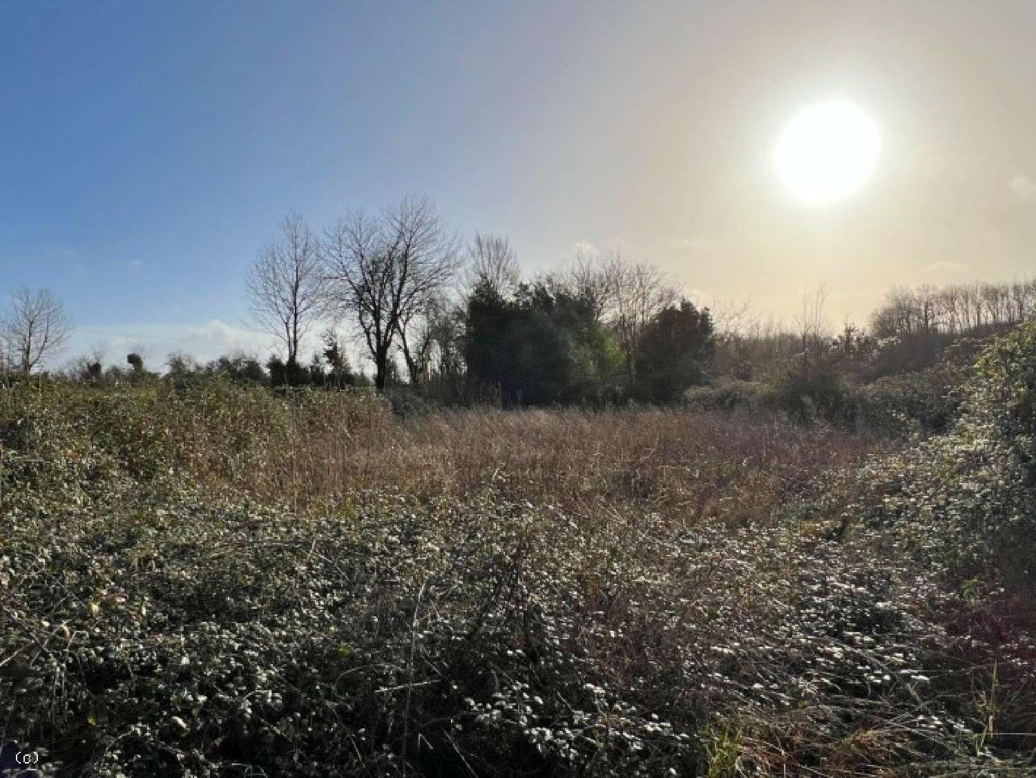  à vendre maison Sauzé-Vaussais Deux-Sèvres 4
