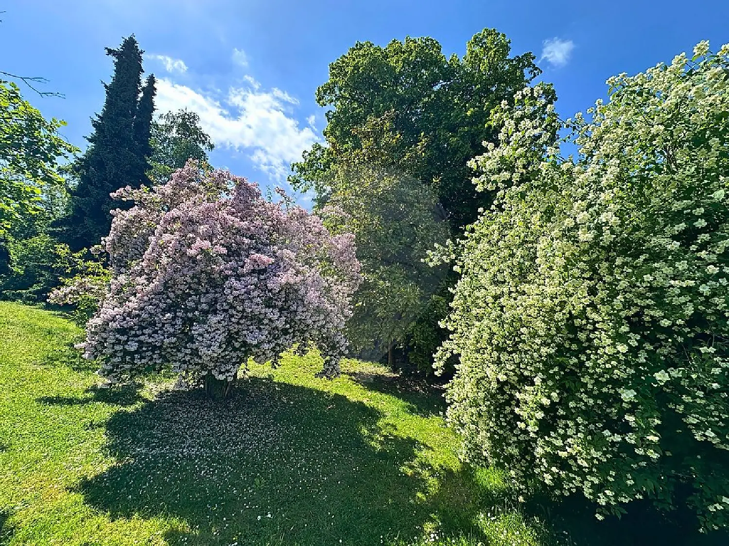  en venta casa Senlis Oise 5