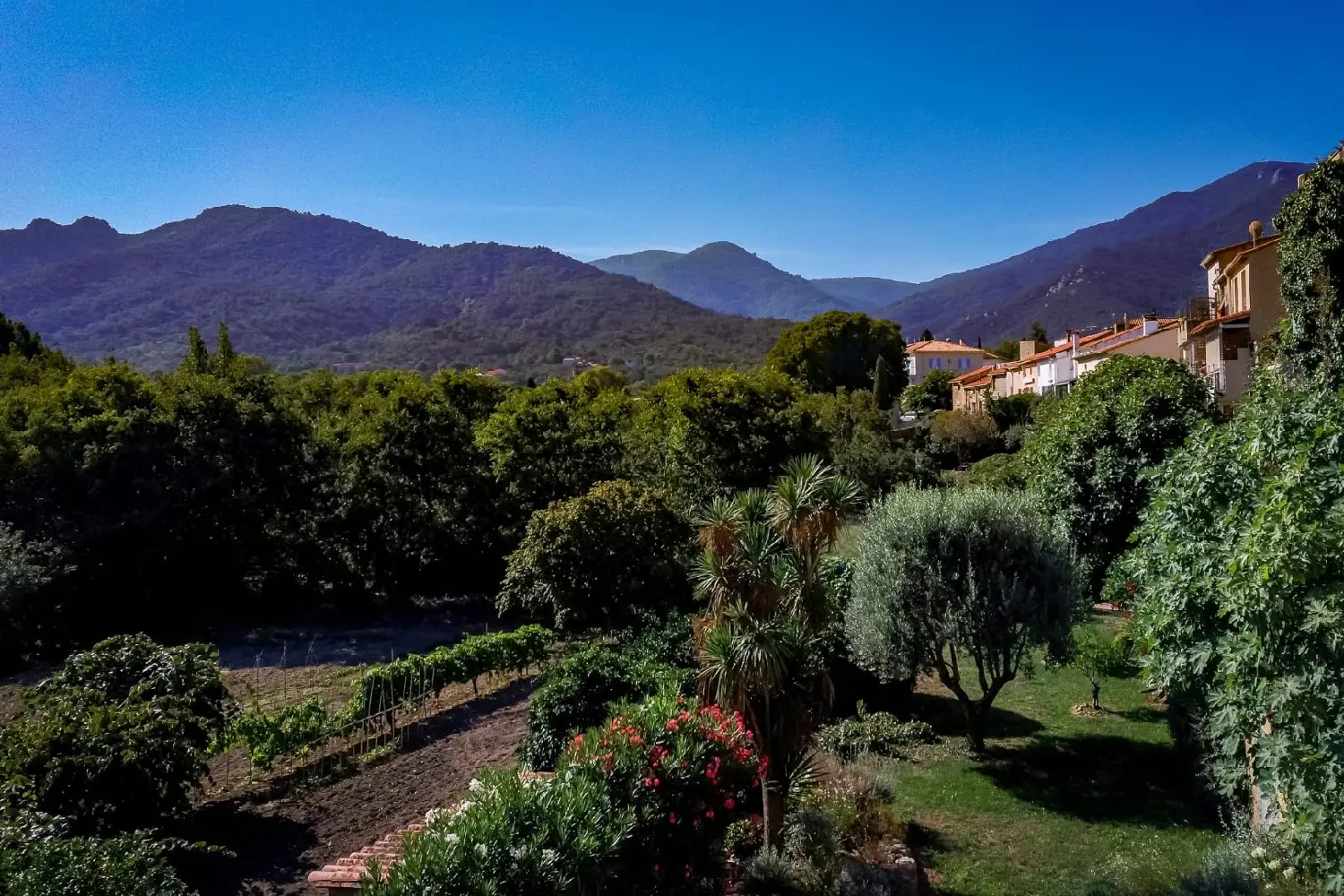  kaufen Haus Sorède Pyrénées-Orientales 2