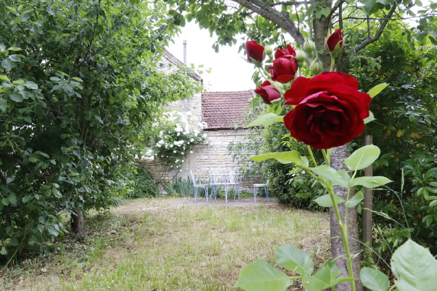  en venta casa Tanlay Yonne 2
