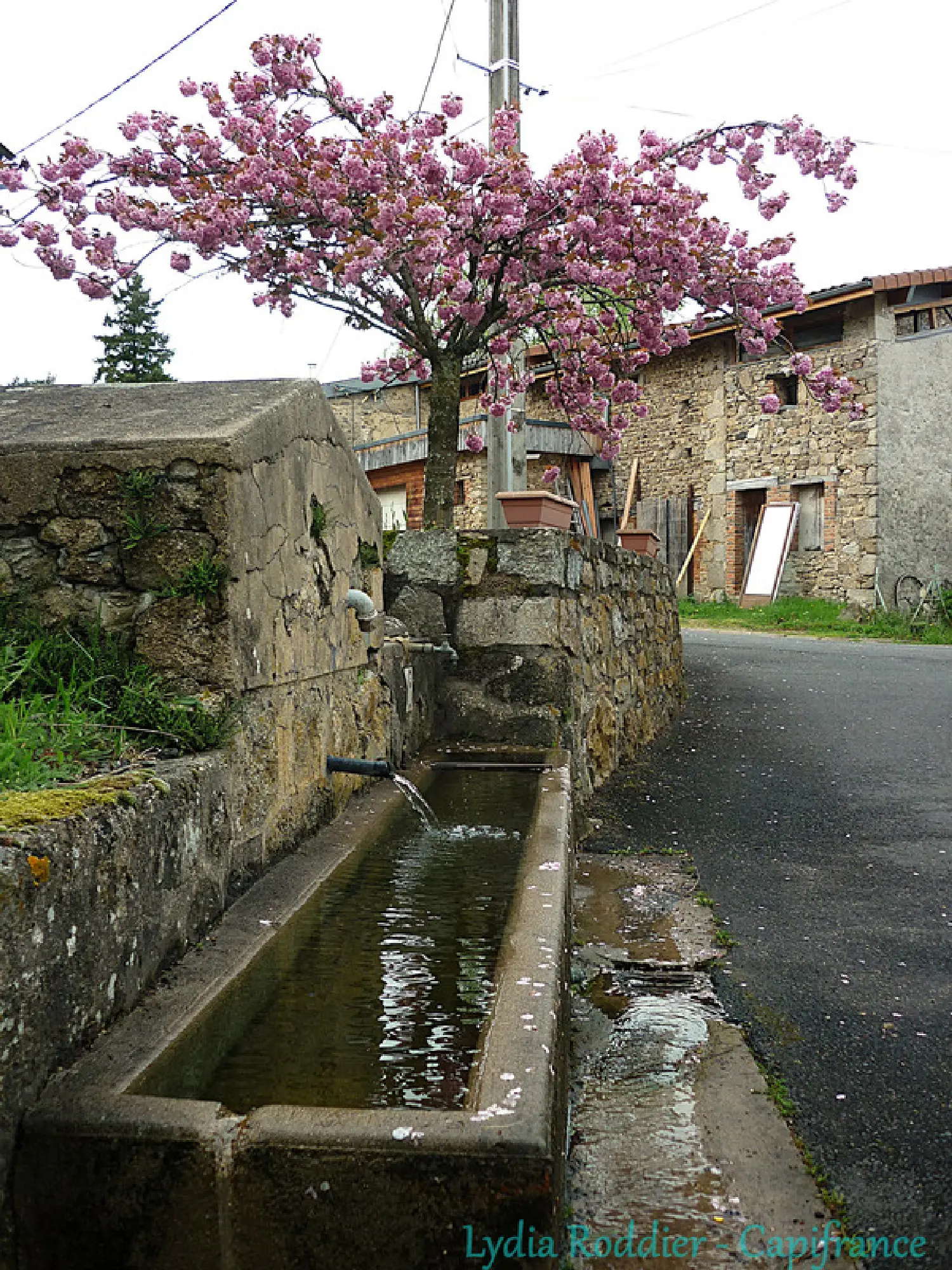  à vendre maison Thiers Puy-de-Dôme 1