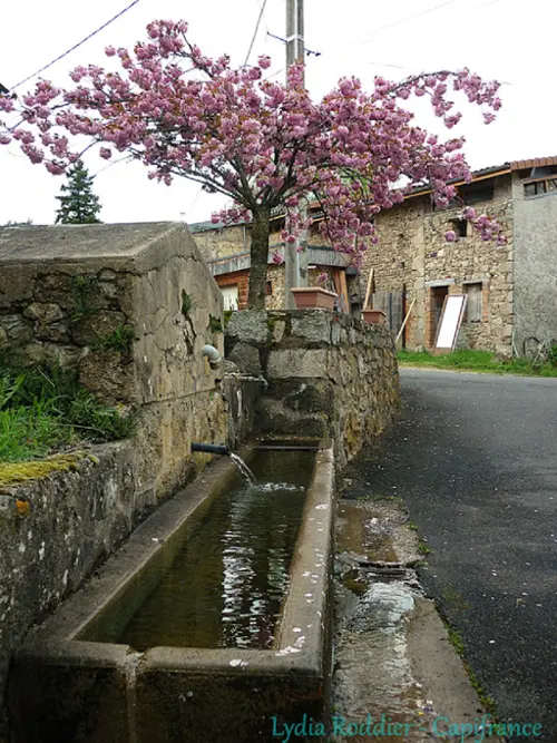 Thiers Puy-de-Dôme maison foto 7091684